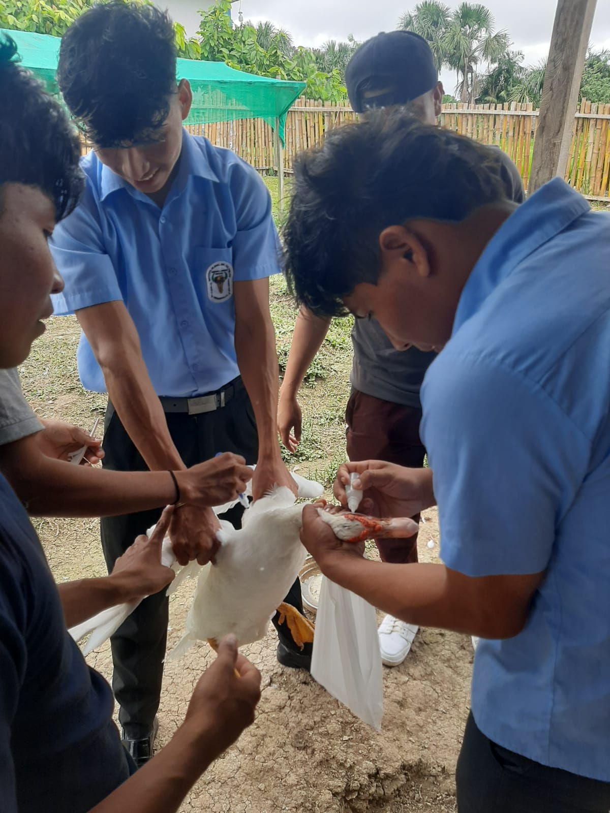 Programa de Estudio Producción Agropecuaria