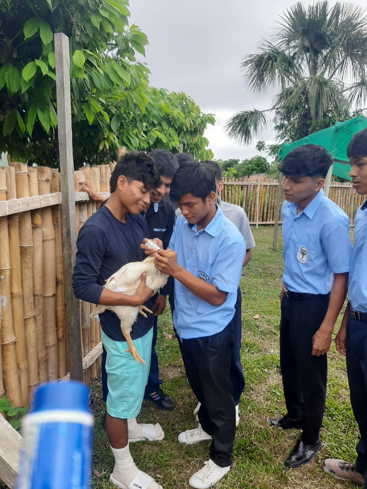 Producción Agropecuaria