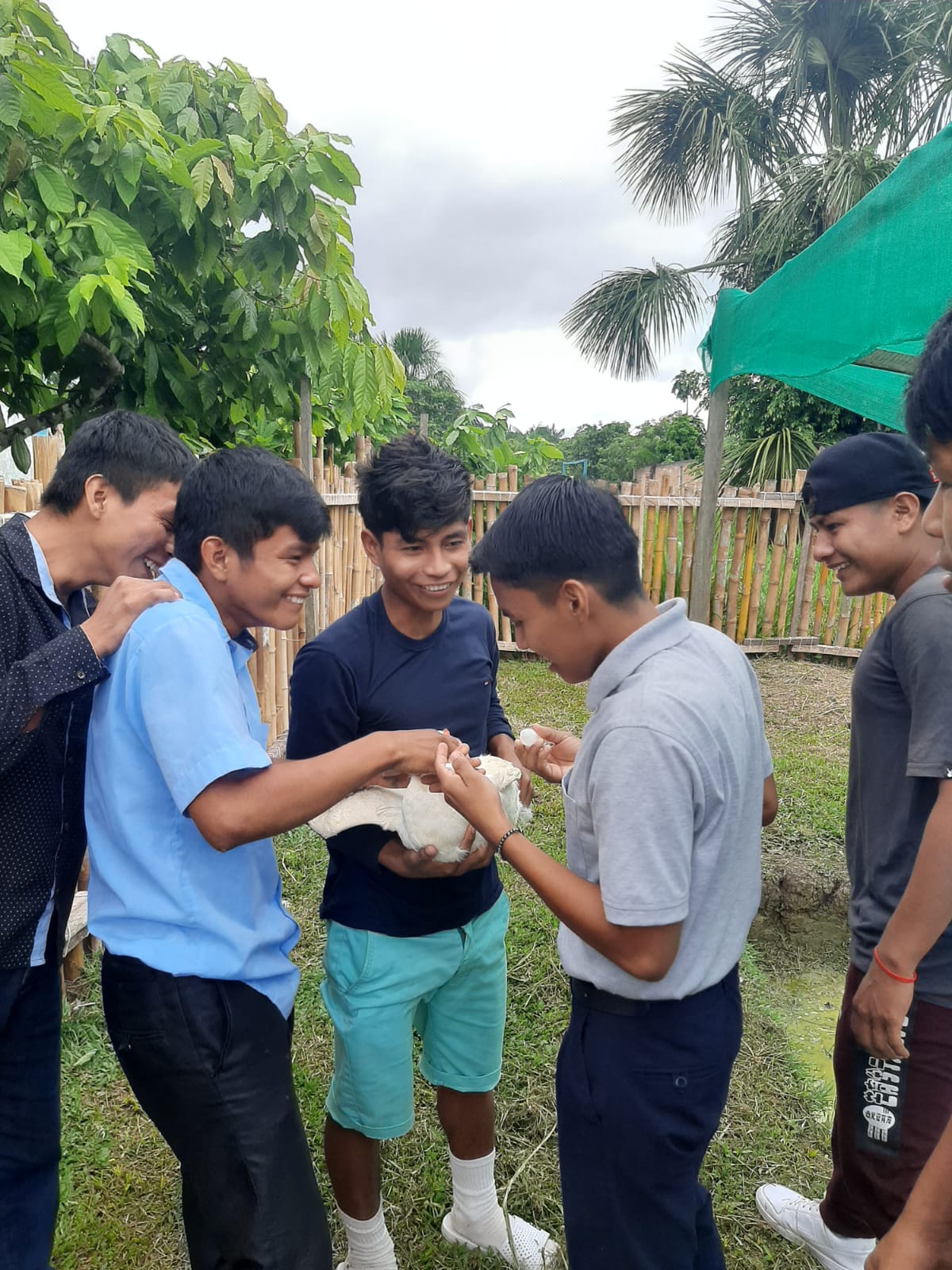 Producción Agropecuaria