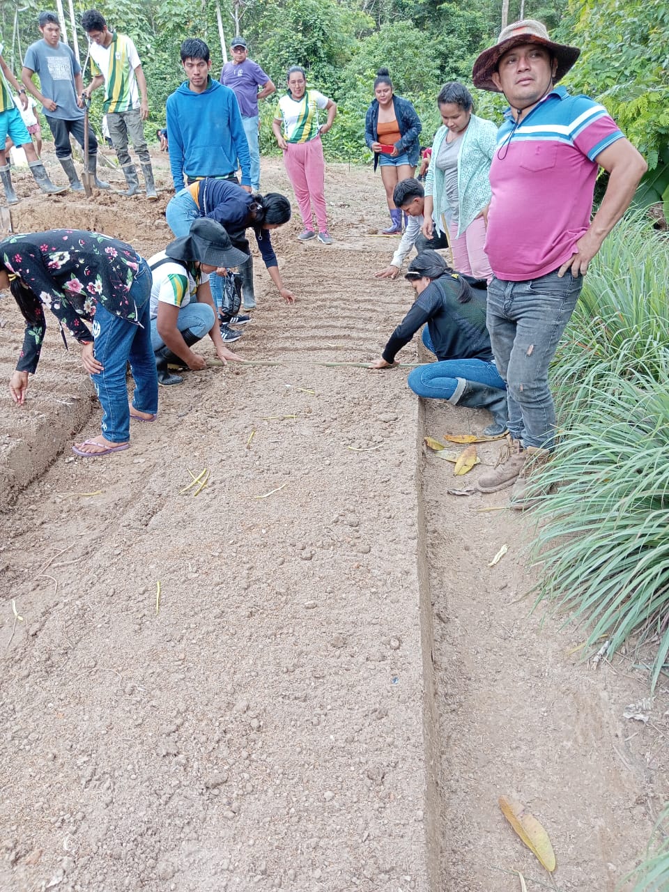 Programa de Estudio Producción Agropecuaria